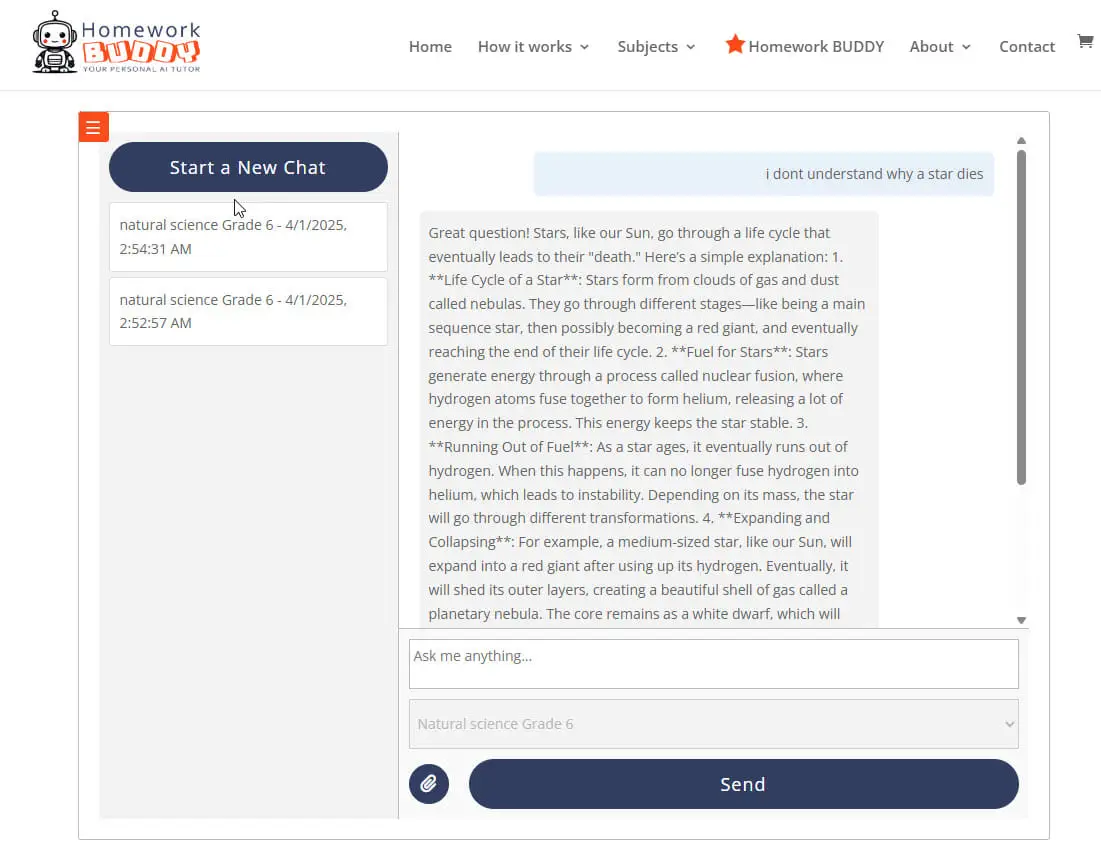 Homework Buddy Chat Screen